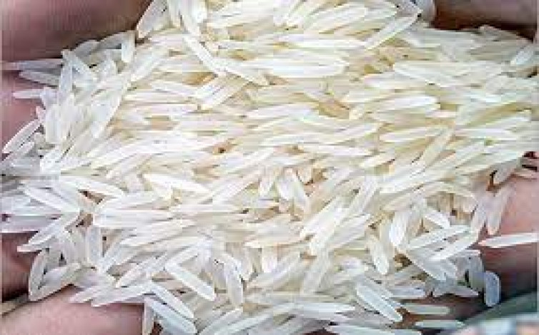 Pakistan's famous Basmati rice exports increase by 8.97%