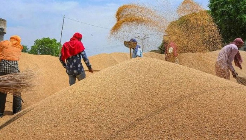 India will export a record 7 million tonnes of wheat this year