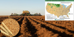 USDA forecasts regarding US Spring wheat plantation zone