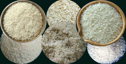 Permission to export 1000 tons of aromatic rice        