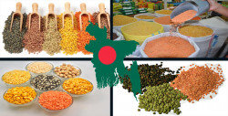 Pulses of Bangladesh are very important cereals