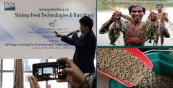 Caption news on Training Workshop on Shrimp Feed Technologies