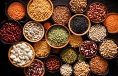 Various aspects of processing and marketing of pulses in Bangladesh