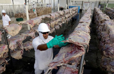 Brazilian meat exporters face barriers to shipping goods through COVID-Hit Shanghai