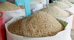 Sri Lanka's economic crisis has pushed food prices to unbearable levels, with rice now being sold at Rs 200 per kg