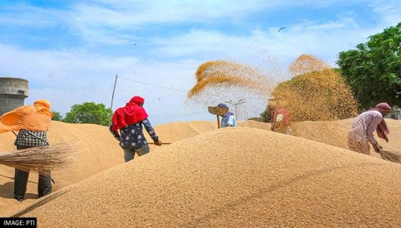 India bans wheat exports, fear of rising prices in the world market