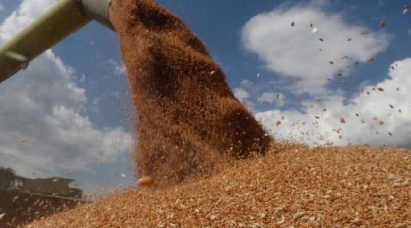 European Commission will help Ukraine export its wheat