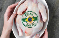 Brazil's revenue from poultry exports reached record highs in May
