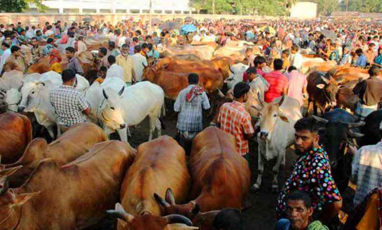 Cattle traders in Bangladesh are hoping for good business this Eid-ul-Azha