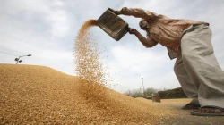 Wheat prices may fall as wheat exports resume after Russia-Ukraine deal