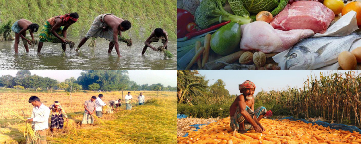 Agricultural subsidies should be continued to ensure food security in Bangladesh