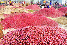 Exports are negligible compared to surplus potatoes
