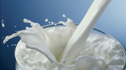 Prices of all types of milk increased further