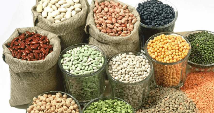 A few countries in East Africa are leading exporters of pulses to India