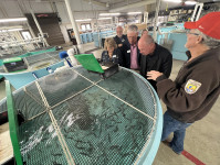 U.S. Aquaculture Research Holds Key To Global Industry Growth