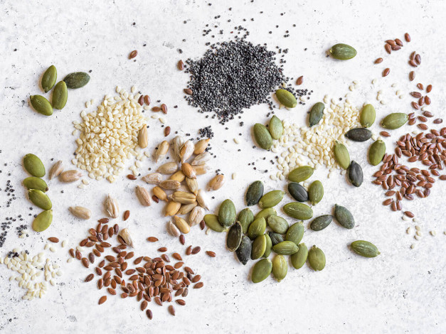 The Food Chain: Who owns seeds?