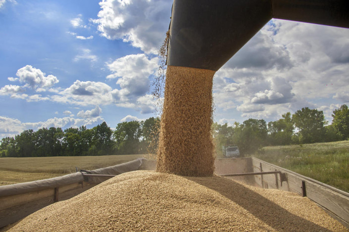 Uncertainty over the start of wheat imports from Ukraine