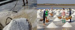 This time the price of salt is increasing, and 90 percent of mills are closed due to a shortage of raw materials