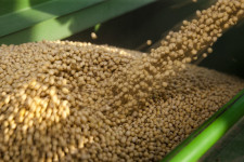 “Soybean futures jumped to the highest in six months on expectations for greater demand from China...