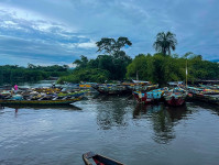 Cameroon fishermen call for EU ban to end poachers in Gulf of Guinea