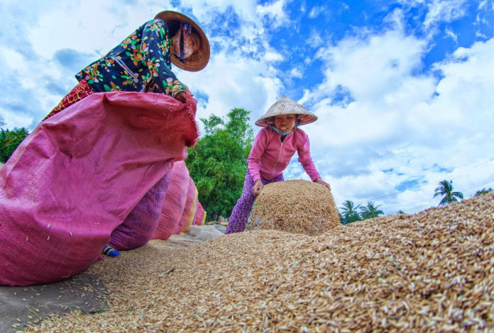 Vietnam is forecast to enjoy another successful year of rice exports