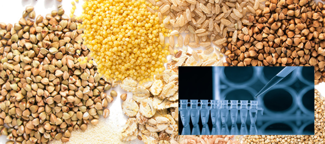 EnviroLogix Introduces the Total Mycotoxin Solution