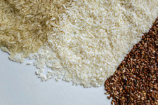 Asian rice tight supplies, strong demand push export prices to 2-year high