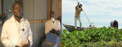 Kenyan youth discovers affordable animal feed from Victoria's water Hyacinth