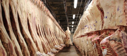Brazilian meatpacker JBS sees $450 million profit from lower grain prices