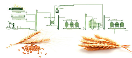 Storing grain to reduce post-harvest losses and protect its quality