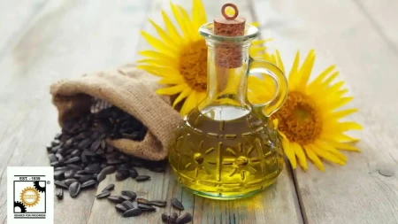 A Step-by-Step Guide on How Sunflower Oil is Made