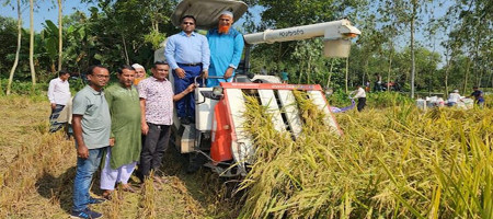 In Tangail, primitive agriculture is being replaced by modern mechanization