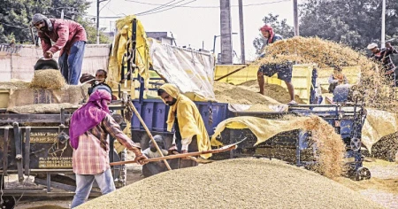 India's rice procurement continues, target likely to be missed