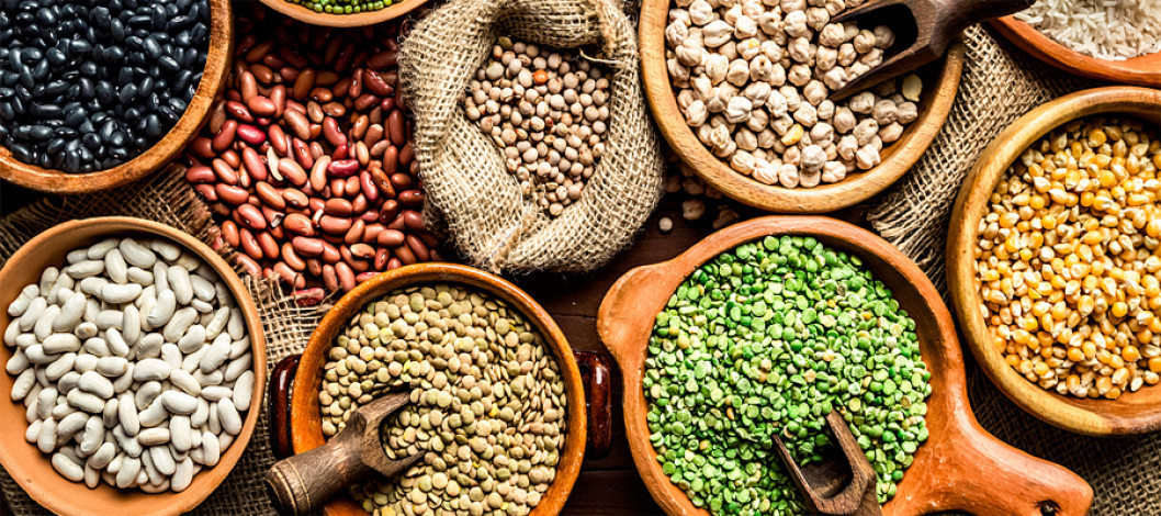 World Pulses Day 2024: Shining the spotlight on the vital role of pulses in promoting soil health and nourishing people