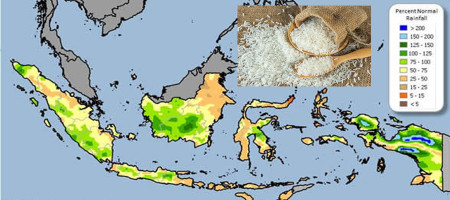 Indonesia expects a 17.5% decline in January-April rice production