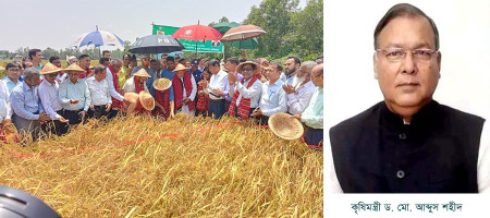 "Farmer app launched to ensure fair price of paddy"
