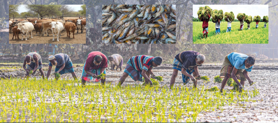 AIP is 22 persons for contribution to the agriculture sector