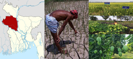 Barind  area of Bangladesh started to become a center of diversified crops to reduce water insecurity