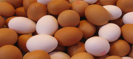 The egg market of Bangladesh is confined to small massage