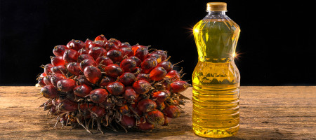 India's imports of palm oil hit a 6-month high in June at low prices