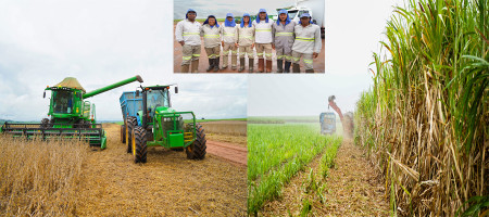 COFCO International rotates sugarcane crops with soybeans to improve soil health and raise productivity