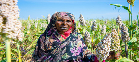 Food and nutrition crisis deepens across Sudan as famine is identified in additional areas