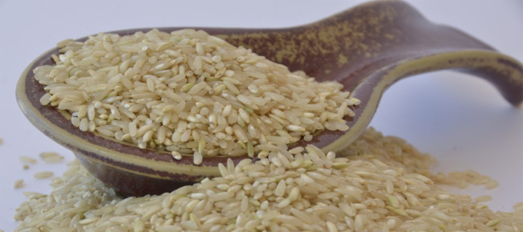 Philippines & Pakistan to sign million-ton rice deal by June 2025