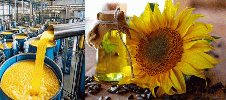 An exclusive report on sunflower oil