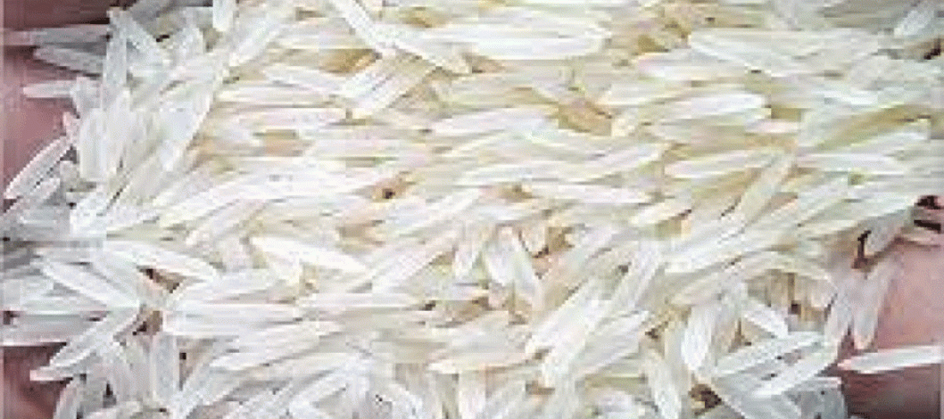 Rice export to Bangladesh: TCP receives 11 tenders