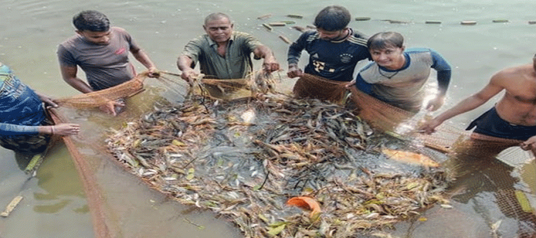 Cluster method becomes a boon for many shrimp farmers in Khulna