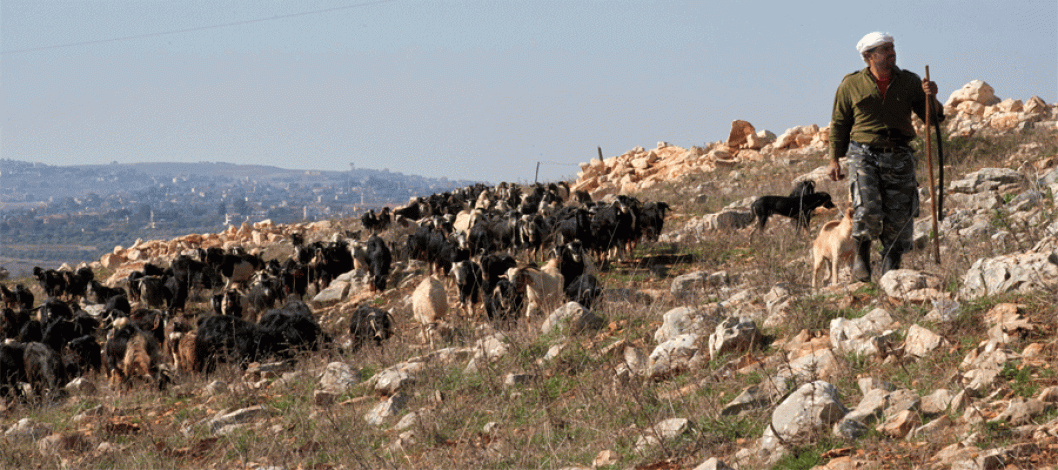 Food insecurity deepens in Lebanon following conflict, new report shows