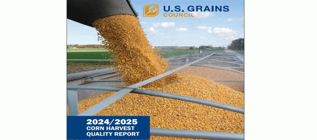 2024/2025 Corn Harvest Quality Report