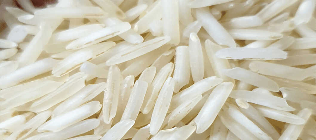 Basmati GI tag: Chances against Madhya Pradesh set to rise amid India-Pakistan dispute