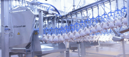 Marel introduces artificial intelligence in poultry processing